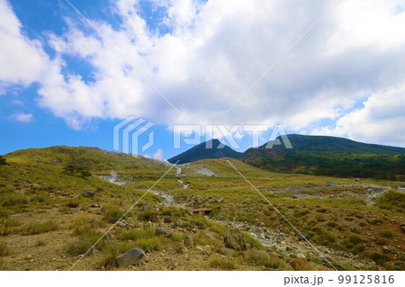 宮崎県と鹿児島県にまたがる霧島とえびの高原の旅 99125816