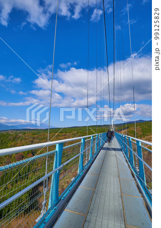 静岡県の三島スカイウォーク(吊橋)と富士山 99125829