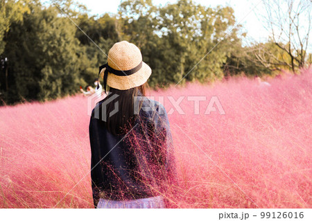 秋の紫草 秋の紫草 99126016