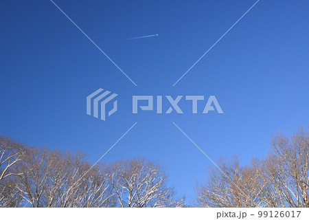 青空と飛行機雲 青空と飛行機雲 99126017
