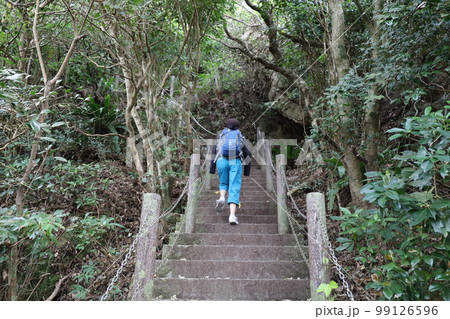 冬の沖縄ほっこり本部半島の古宇利島 99126596