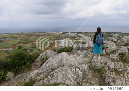 冬の沖縄ほっこり本部半島の古宇利島 冬の沖縄ほっこり本部半島の古宇利島 99126604