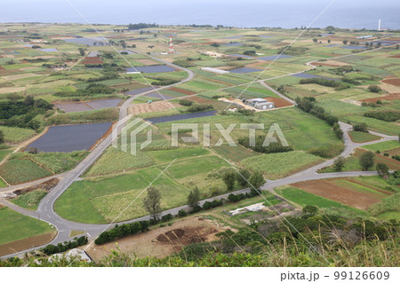 冬の沖縄ほっこり本部半島の古宇利島 99126609