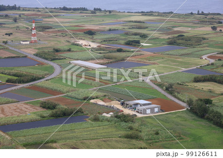 冬の沖縄ほっこり本部半島の古宇利島 99126611