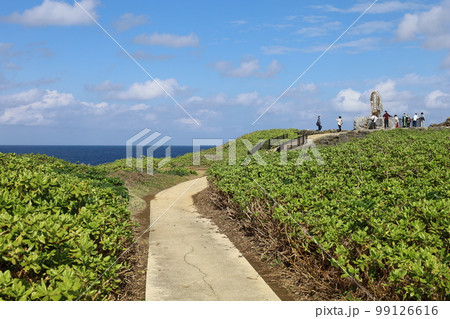 冬の沖縄ほっこり本部半島の古宇利島 99126616