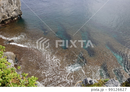 冬の沖縄ほっこり本部半島の古宇利島 99126627
