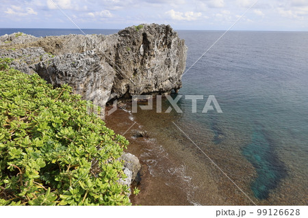 冬の沖縄ほっこり本部半島の古宇利島 99126628