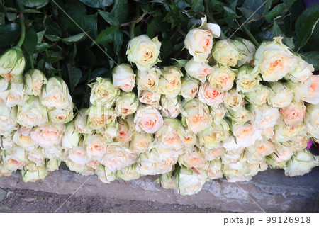 white colored rose bouquet on shop for sell are cash crops 99126918