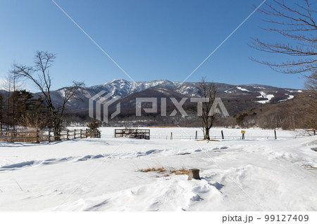 冬のバラキ湖畔 群馬県嬬恋村 冬のバラキ湖畔 群馬県嬬恋村 99127409