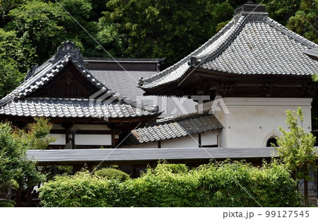 甲府市で初夏の花が咲き誇る高橋山放光寺 99127545