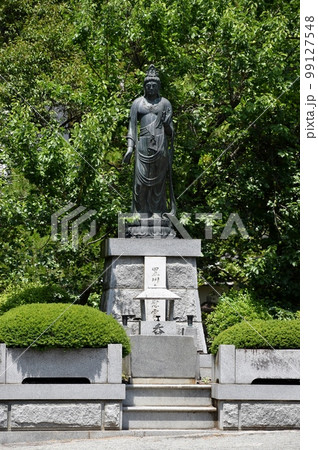 甲府市で初夏の花が咲き誇る高橋山放光寺 99127548