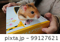 仮住まい 99127621