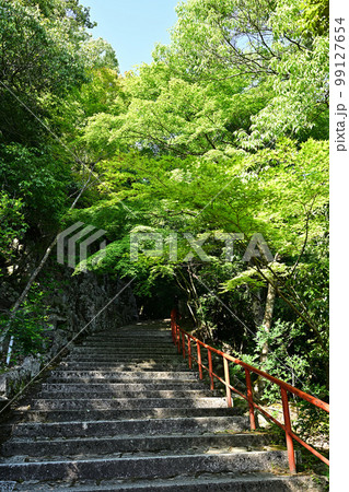 新緑の滋賀県　永源寺 99127654