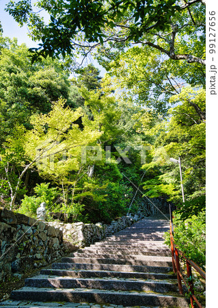 新緑の滋賀県　永源寺 99127656