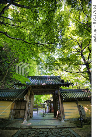 新緑の滋賀県　永源寺 99127663