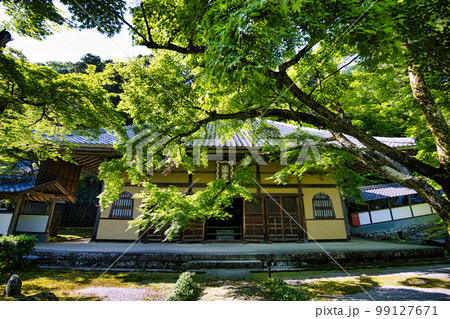 新緑の滋賀県　永源寺 99127671