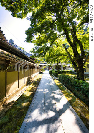 新緑の滋賀県　永源寺 99127672