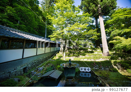 新緑の滋賀県　永源寺 99127677