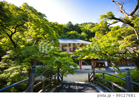 新緑の滋賀県 永源寺 新緑の滋賀県 永源寺 99127681