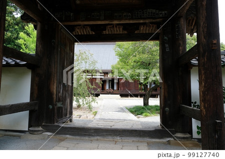 甲府市で初夏の花が咲き誇る高橋山放光寺 99127740