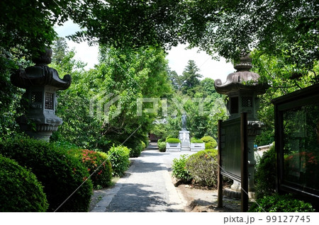 甲府市で初夏の花が咲き誇る高橋山放光寺 99127745