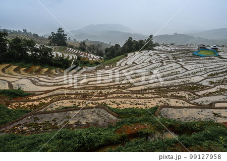 Ban Pa Pong Piang rice terraces field in Chiang Mai province of Thailand after big raining. Ban Pa Pong Piang rice terraces field in Chiang Mai province of Thailand after big raining. 99127958