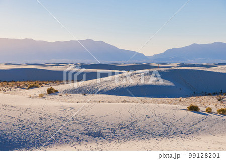 Sunny view of the landscape with some footprints in White Sands National Park Sunny view of the landscape with some footprints in White Sands National Park 99128201