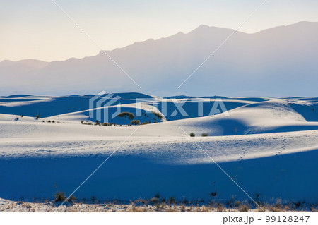Sunny view of the landscape of White Sands National Park Sunny view of the landscape of White Sands National Park 99128247