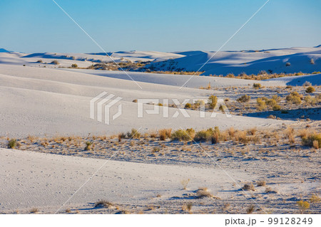 Sunny view of the landscape of White Sands National Park Sunny view of the landscape of White Sands National Park 99128249
