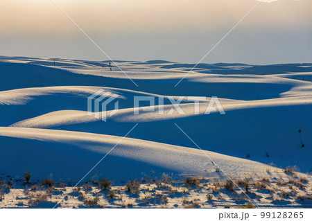 Sunny view of the landscape of White Sands National Park Sunny view of the landscape of White Sands National Park 99128265