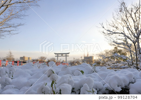 長岡天満宮の冬景色 長岡天満宮の冬景色 99128704