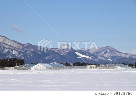 寒い日氷点下の朝 99128766