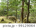 庭園 99129064