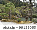 庭園 99129065