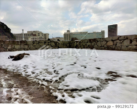 改修工事中の雪景色の米子城大手付近 99129172
