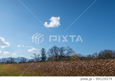 青空と狐のような雲の写真素材 [99129374] - PIXTA