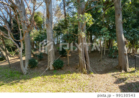 東京都狛江市中和泉の兜塚古墳 東京都狛江市中和泉の兜塚古墳 99130543