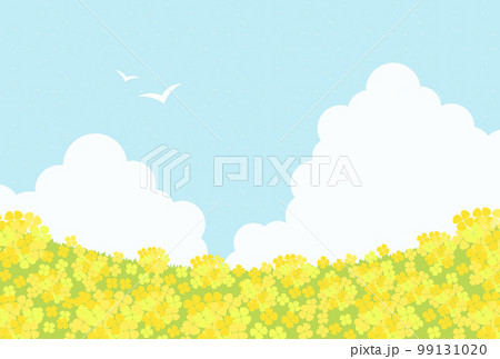 菜の花畑と空の背景イラスト 99131020
