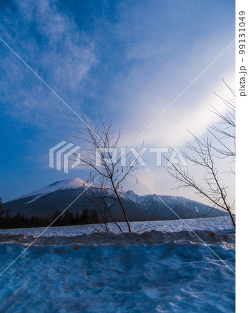 写真 青の風景 空と雲と岩手山の雪風景 早春の息吹が少し感じられる八幡平国立公園 写真 青の風景 空と雲と岩手山の雪風景 早春の息吹が少し感じられる八幡平国立公園 99131049