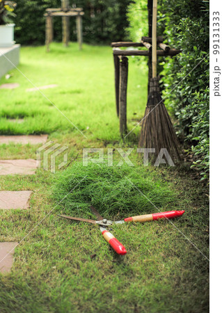 The pile of grass cut by the garden scissors with blurred coconut broom and garden in background 99131333