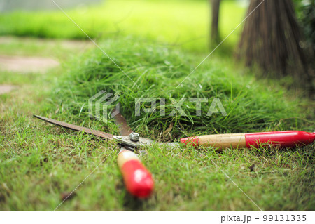 Closeup gardening scissors on the grass field with defocused pile of grass in background 99131335