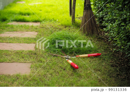 The pile of grass cut by the garden scissors with blurred coconut broom and garden in background 99131336