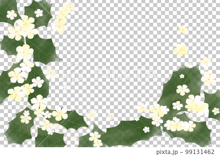 Hiiragi's flower Hiiragi's flower 99131462