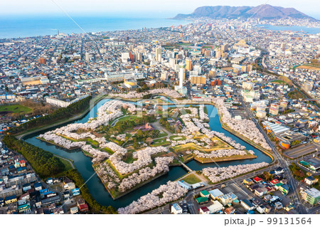 函館 五稜郭の桜 空撮 函館 五稜郭の桜 空撮 99131564