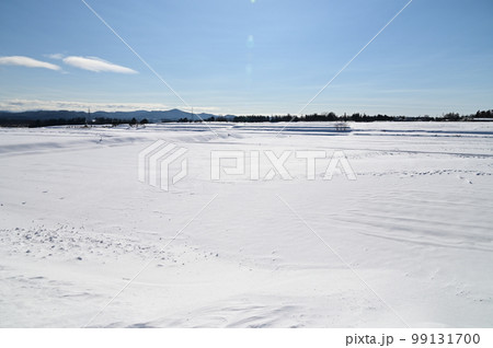 寒い日氷点下の朝 寒い日氷点下の朝 99131700