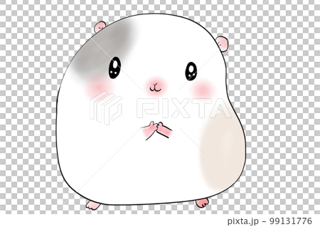 cute guinea pig and hamster cute guinea pig and hamster 99131776