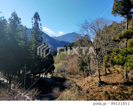 秩父の山 秩父の山 99131851