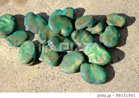 薬剤処理されたソラマメの種 99131901