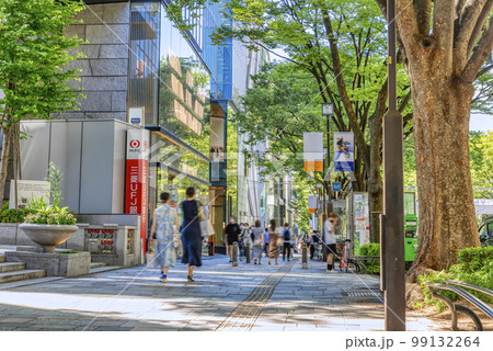 東京の都市風景　表参道 99132264