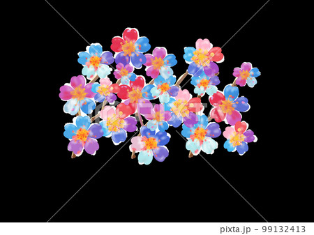 色とりどりに咲く春の花 梅 桜 色とりどりに咲く春の花 梅 桜 99132413